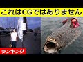 【衝撃】本当に釣れてしまった巨大な海の生物！5選