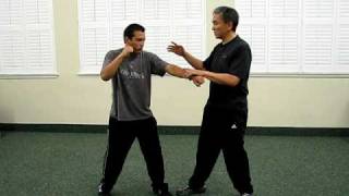 Sil Lum principles from Ng Ga Salute and Fut Ga