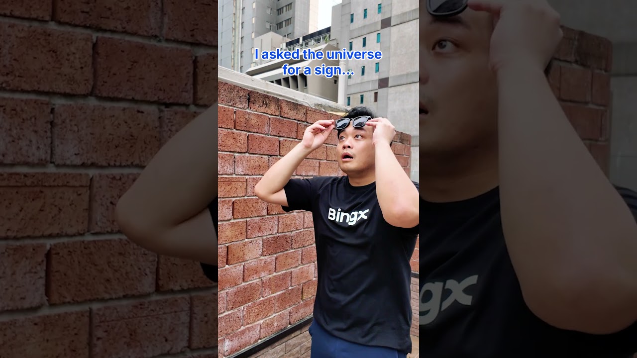 POV: I asked the universe for a sign