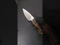 Buck knife Alpha Scout Pro