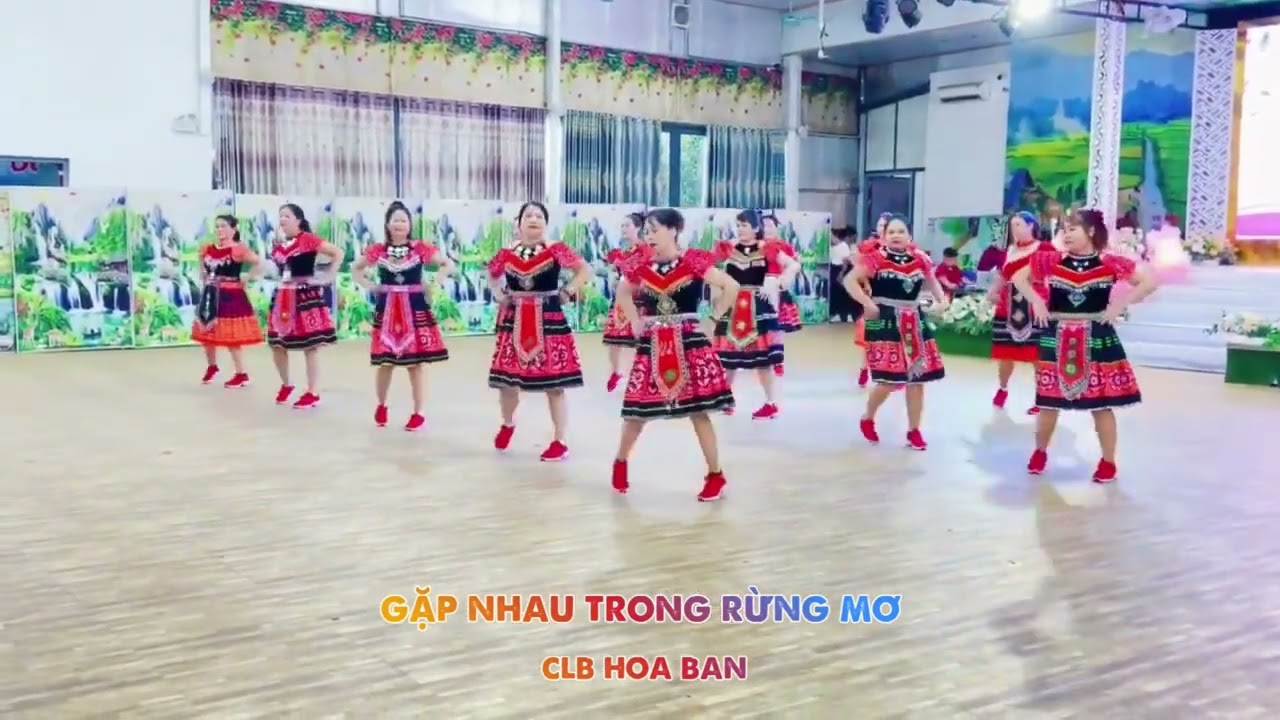 Múa Gặp nhau trong rừng mơ