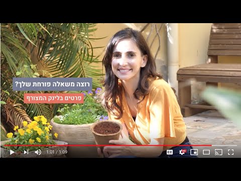 וִידֵאוֹ: דבורת אדמה: תיאור, שיטות מאבק, עובדות מעניינות