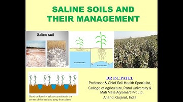 SALINE SOILS AND THEIR MANAGEMENT BY DR. P. C.PATEL