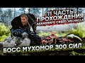 БОСС ГРИБЫ 300 СИЛ ► Assassin's Creed Valhalla Вальгалла [4K, RTX 3090] ► ПОЛНОЕ ПРОХОЖДЕНИЕ #11