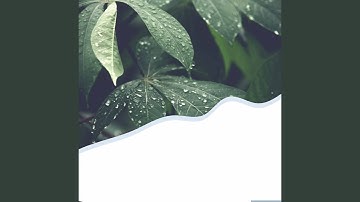 Sparkling Backdrops for Recharging Routines