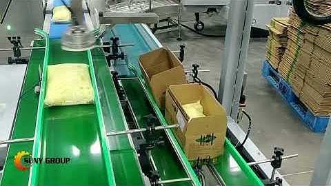 Cartoning Machine Robot Packing Machine Carton Case Packing System--Suny Packing