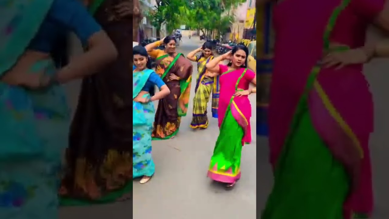 Vaanathai pola serial Actors Reels Video