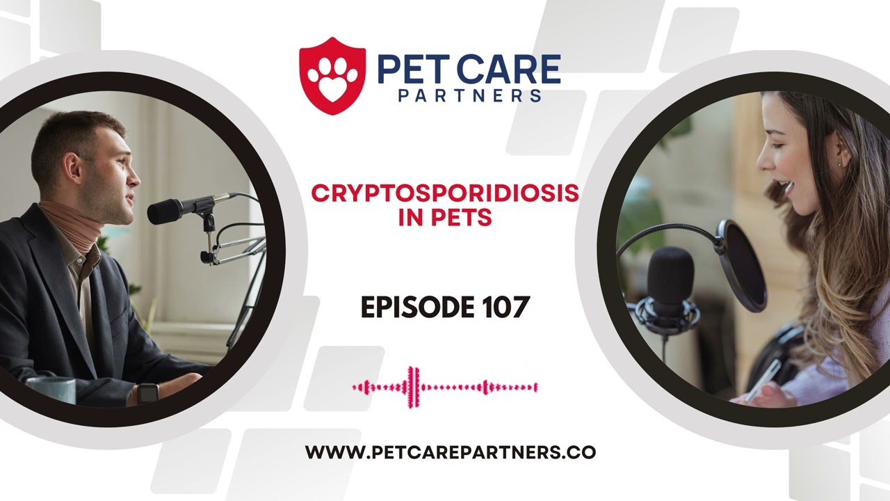 EP 107: Cryptosporidiosis in Pets: Diagnosis, Treatment, and Management | Pet Care Partners Podcast