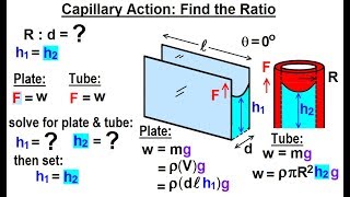 Physics - Ch 33A Test Your Knowledge: Fluid Statics (34 of 42) Capillary Action: Find the Ratio=?