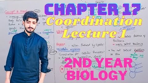 Coordination and Control | chapter 17 | 2nd year Biology lecture-1