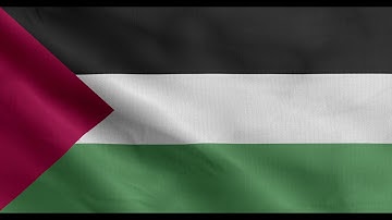 Palestine waving flag loop free download 4k