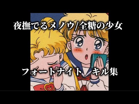 フォートナイト 夜撫でるメノウ/全糖の少女  キル集