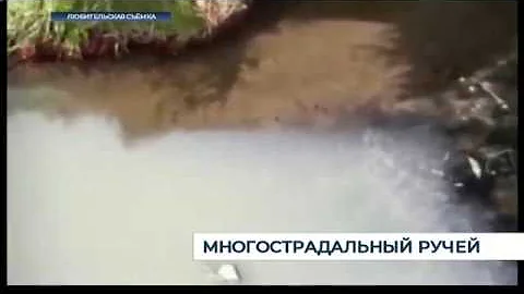 Жители ул. Полевой вновь жалуются на вонь от ручья Гагаринского