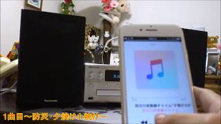 Panasonic SC-PMX80使用動画