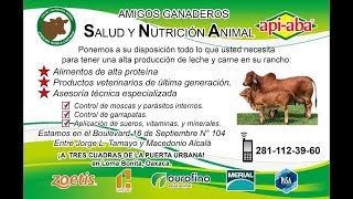Comercial Api Aba Loma Bonita