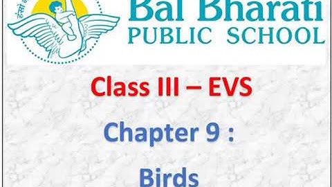 III EVS Chapter 9 Birds Part 1