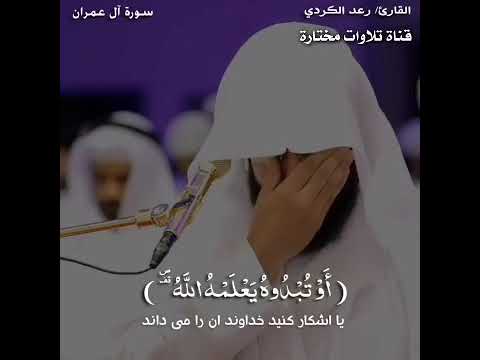 رعد الكردي حالات واتس اب قل ان تخفوا ما في صدوركم او تبدوه أكتب شيئا ت ؤجر عليه