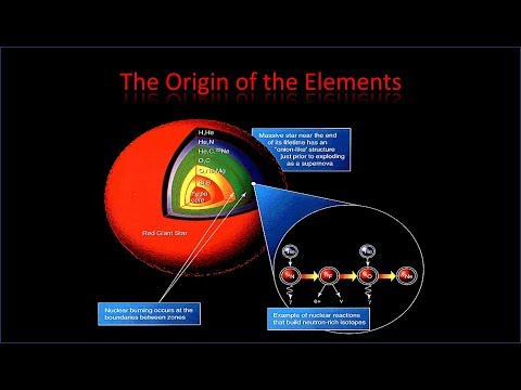 The origins of the elements