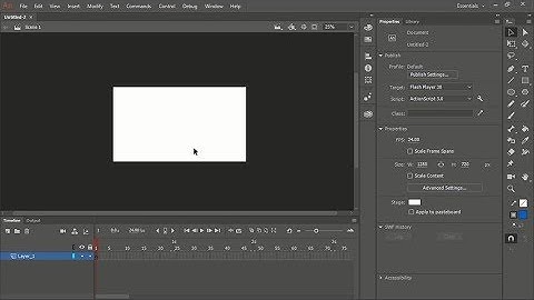 How to use the basic interface and tools of Animate