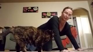 Day 5 of 22 #22PushupChallenge