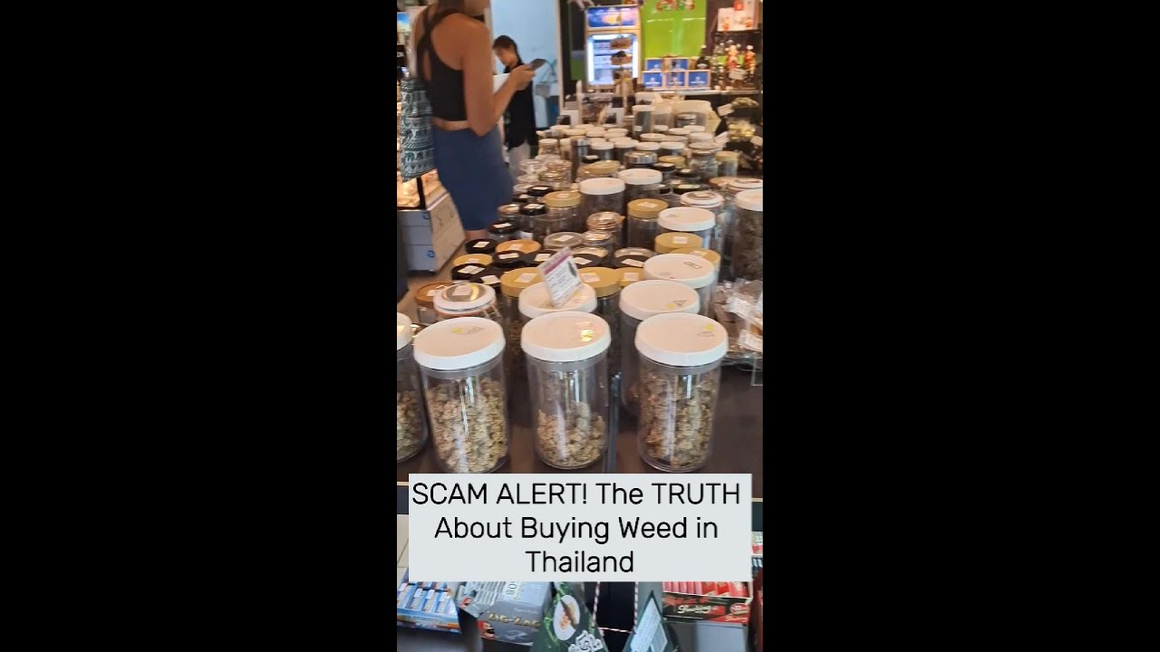 🚨 SCAM ALERT! The TRUTH About Buying Weed in Thailand (2025 Laws Explained) 🌿💸
