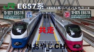 共走 JR東日本 E657系(E653系リバイバルカラー) 青 & 紅 JR EAST E657 “E653 Revival Color” Blue & Red #train