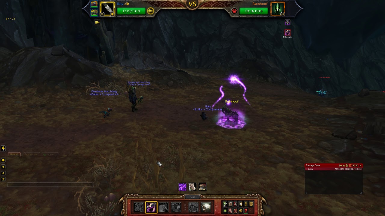 WOW - Pet Battle - Ruinhoof - Full Flying Team