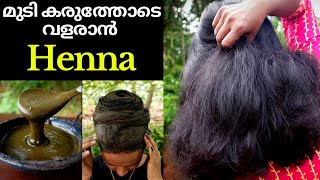 How to prepare Henna for hair growth❤ Natural hair colouring @ home❤Natural hair dye❤Hair Volumizing