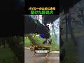 バイカーのために命を懸けた野良犬