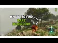 Where to Find Rare MUSHROOM on Ragnarok - Ark Survival Ascended