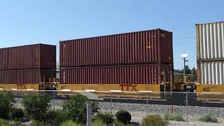 A northbound stack train lead by BNSF ES44C4 #8135 and BNSF ET44C4 #3813.