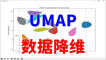 UMAP 数据降维是什么？如何使用？