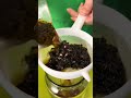 Tự làm trà KOMBUCHA chỉ với 3 bước tại nhà #trakombucha #kombucha #nuocngotcoga