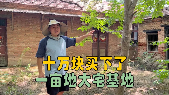 10万元买了个农村小院，十几年没住人了，四间房一亩地大院子 | 用青春去旅行 - 天天要闻