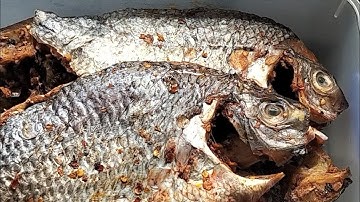 Cá Rô Phi Phơi Một Nắng Thịt Kho Dẻo Nướng Ăn Với Dưa Leo Khế Chua Ngon Quá#buacomquenha 
