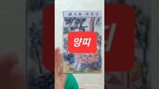 양띠 오늘의운세 2024년9월15일 일요일 운세 총운 #운세 #오늘의운세