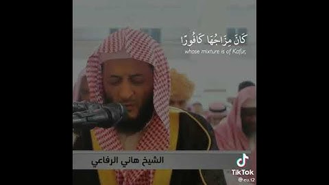 من اجمل التلاوات الشيخ هاني الرفاعي تلاوة رائعة