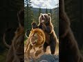 This moment changed everything… 🦁🐻Be honest, who’s walking away? 😄 🤣 😂