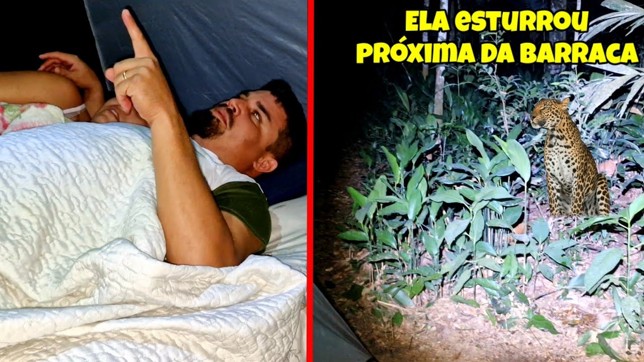 Onça esturrou perto da nossa barraca, foi a noite mais cumprida da minha vida.