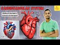 Layers of Heart - Pericardium, Myocardium, Endocardium in Hindi | CVS Part 04|