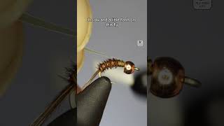 Quasimodo Pheasant | Fly Tying Tutorial