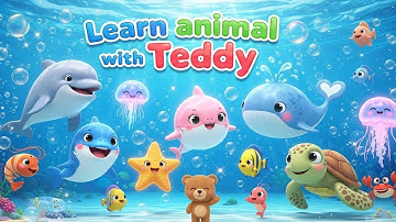 Học Động Vật Dưới Nước - Tiếng Anh cho bé 3 tuổi | Learn Underwater Animals |English for Kids