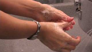 Proper Handwashing Procedures