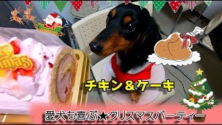 愛犬も大喜び