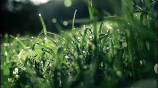 Runtah Doel Sumbang Cover Azmi Z FT IPM ID# Lagu Sunda