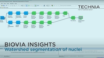 Watershed segmentation of Nuclei