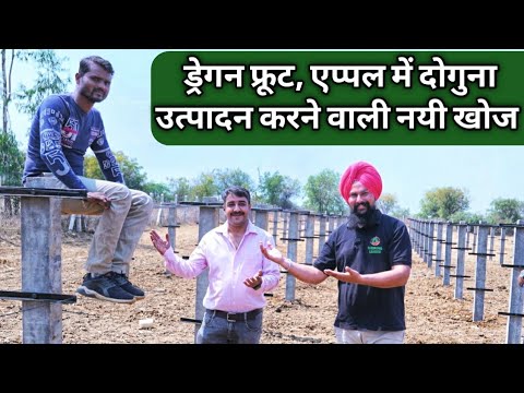 वीडियो: ड्रैगनबोर्ड पर ज़िगबी मॉड्यूल के माध्यम से एक लैंप को कैसे कनेक्ट और नियंत्रित करें: 5 कदम वीडियो: ड्रैगनबोर्ड पर ज़िगबी मॉड्यूल के माध्यम से एक लैंप को कैसे कनेक्ट और नियंत्रित करें: 5 कदम