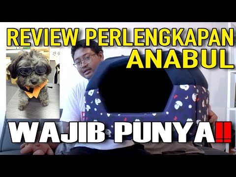 Video: Puppy Popsicles - Menjaga Anjing Anda Sejuk Di Musim Panas