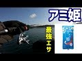 【話題のエサ】アミ姫でサビキ釣りしてみた結果