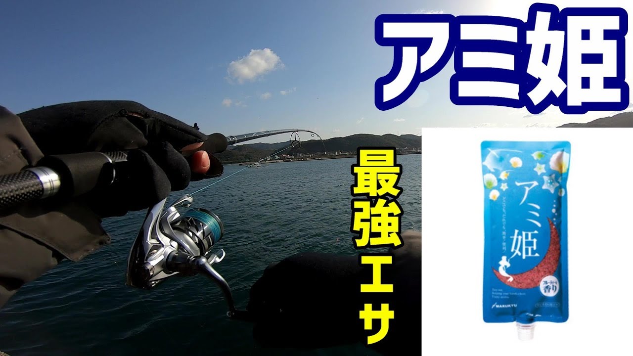 話題のエサ アミ姫でサビキ釣りしてみた結果 Youtube